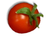 Captcha image 2956