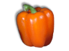 Captcha image 6931