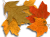 Captcha image 3301